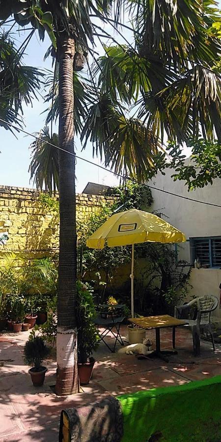 Zigzag Homestay 阿格拉 外观 照片